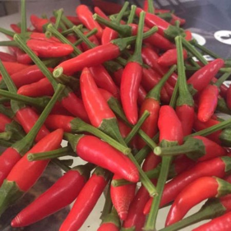 Fresh Chili