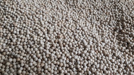 Whole White pepper Vietnam