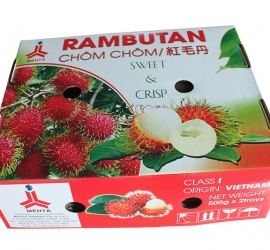 Carton Box For Food