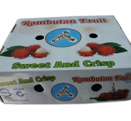 Carton Box For Food