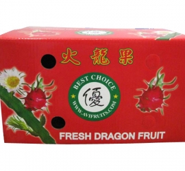 Carton Box For Food
