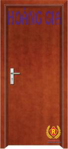 Wood Grained Steel Door