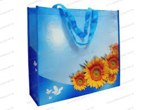 Supermarket plastic bags