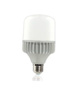 20w T Bulb light