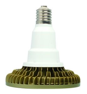 Outdoor LED light