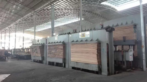 Cold press machine