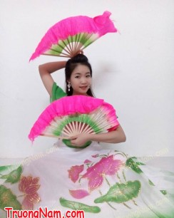 Costume