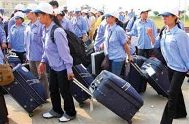 Labor export
