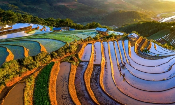 Tour: Mu Cang Chai - Tram Tau