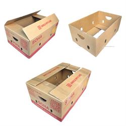 5-layer carton box
