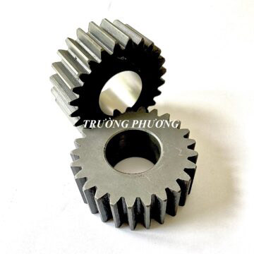 Spur gear