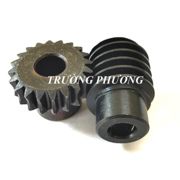 Worm gear