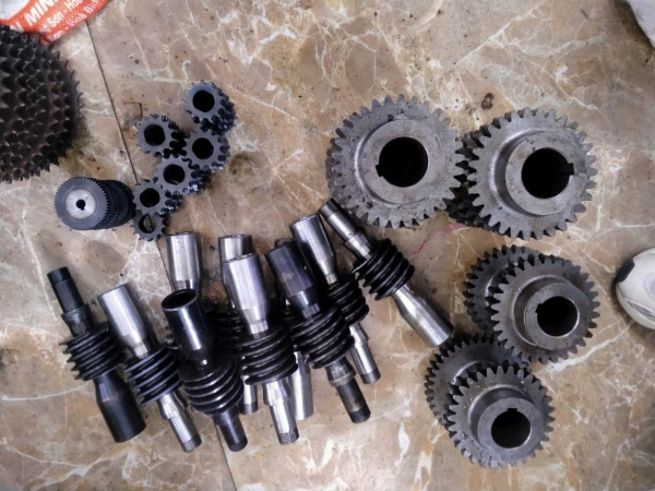 Worm gear