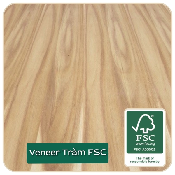 Coating processing for acacia wood veneer - FSC
