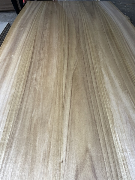 Veneer coating processing service