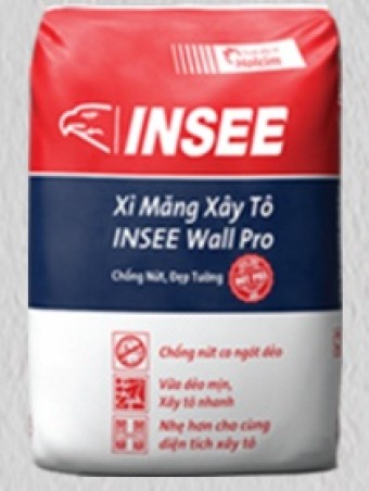 INSEE WALL PRO Masonry Cement