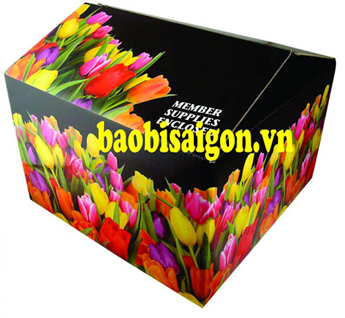 Carton paper boxes