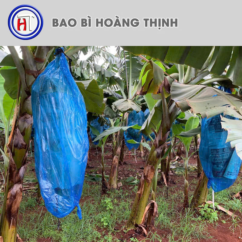 Agricultural PE bag
