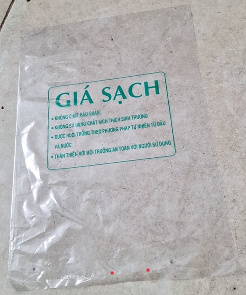 Printed PE bag
