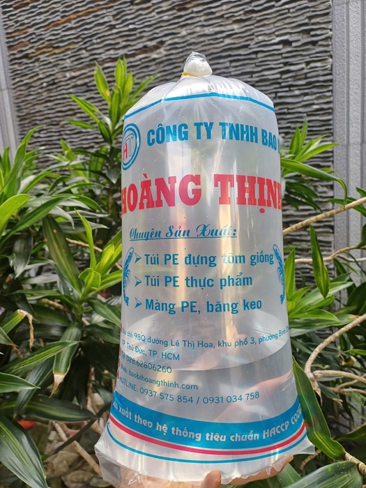 Bag for shrimp and fish breeds