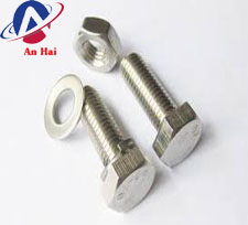 Stainless steel bolts