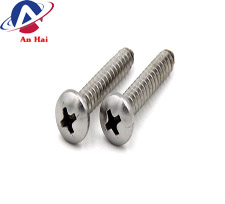 Stainless steel screws