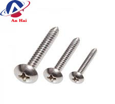 Stainless steel screws