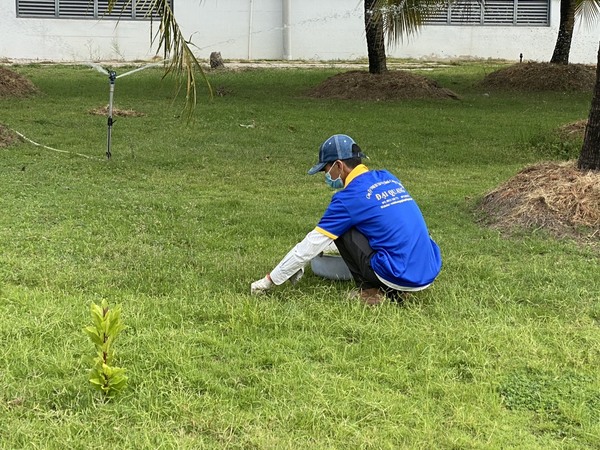 Tree care service for office