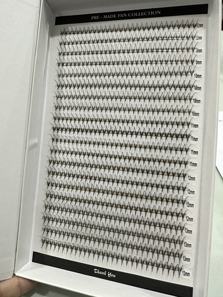 False eyelashes