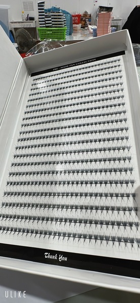 False eyelashes