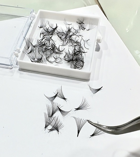 False eyelashes