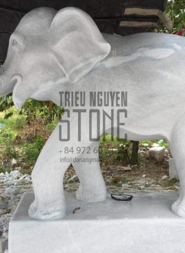 Elephant stone