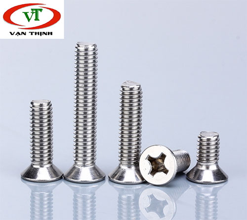 Stainless Steel Bolt