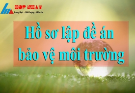 Preparation of environmental protection projects