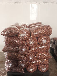 Cashew nuts factory