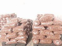 Cashew nuts factory