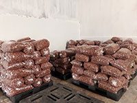Cashew nuts factory
