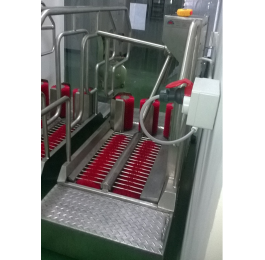Automatic shoe washing machine