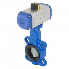 Pneumatic Valve