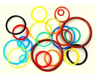 O ring gasket