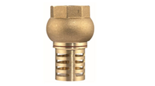 Foot valve