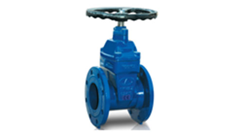 Gate Valve