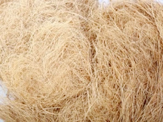 Coconut fiber
