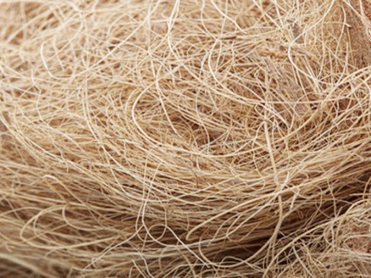 Coconut fiber