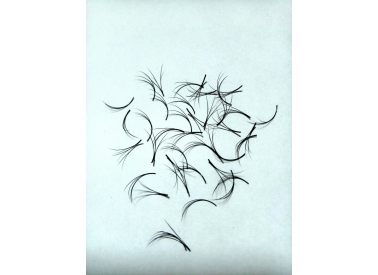 2D eyelash