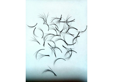 2D eyelash