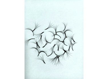 3D eyelash