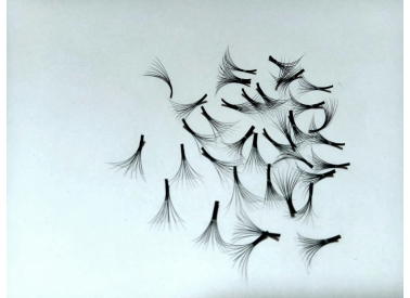8D eyelash