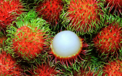 Fresh rambutan