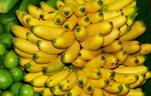 Fresh bananas